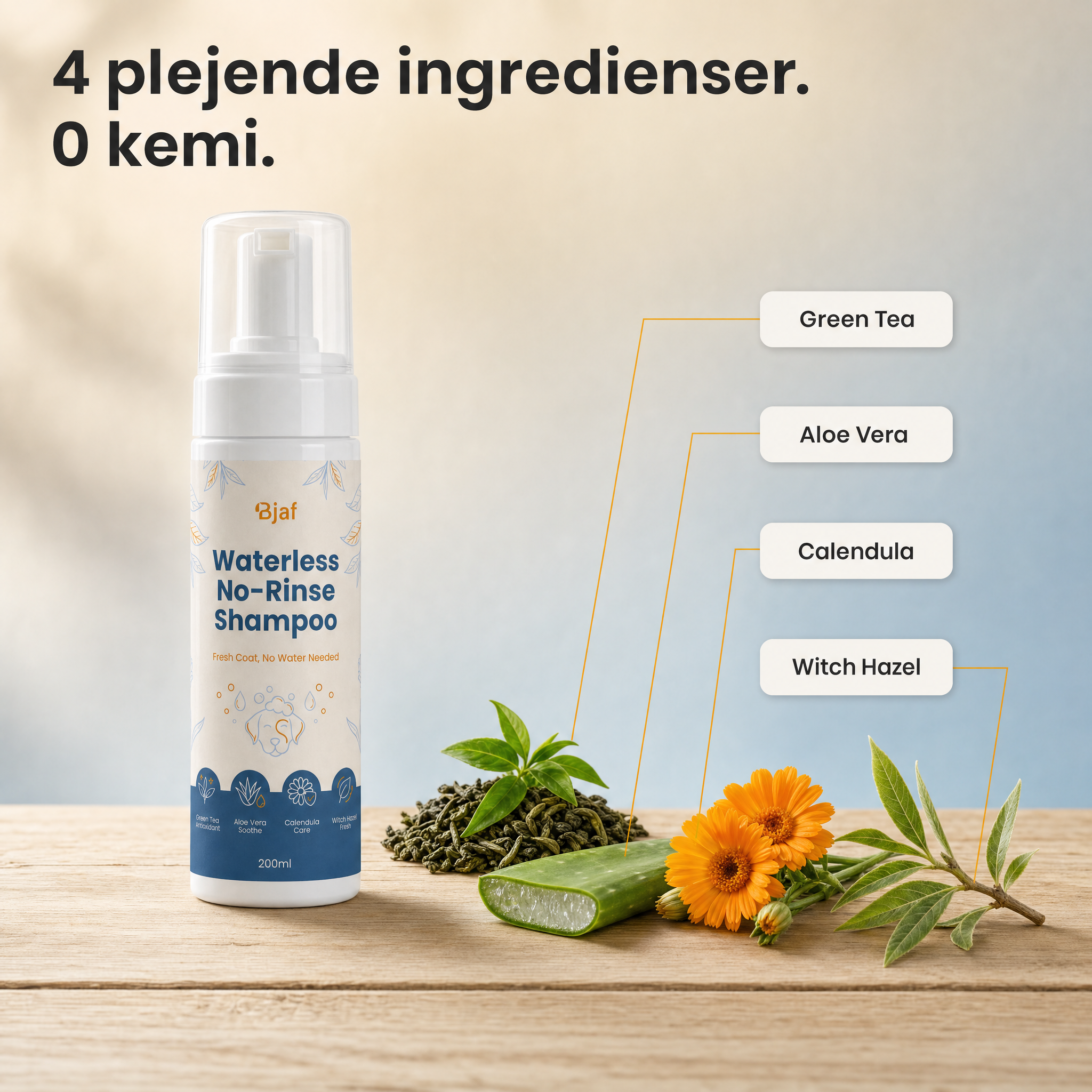 Massaging Bjaf Waterless No-Rinse Shampoo into a dry coat