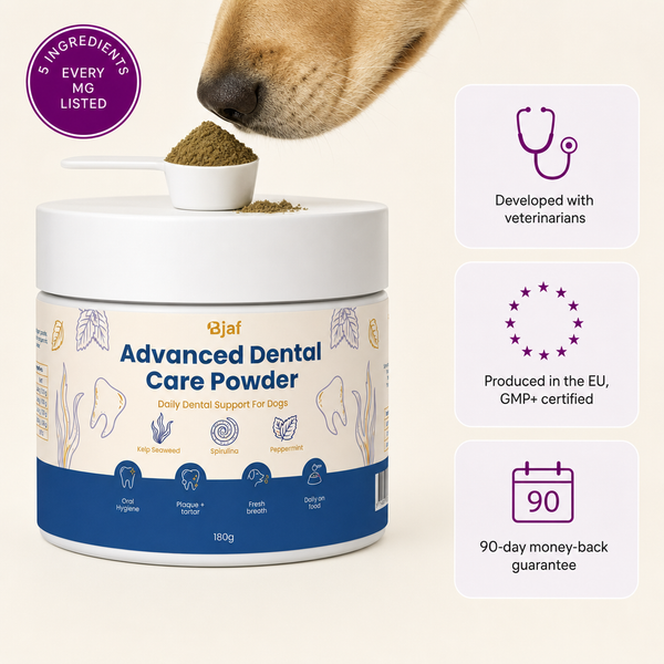 Advanced Dental Powder