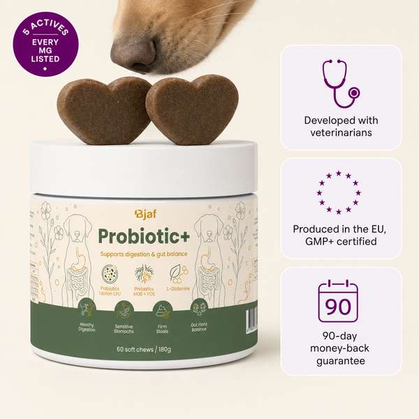 Probiotic+ Chews