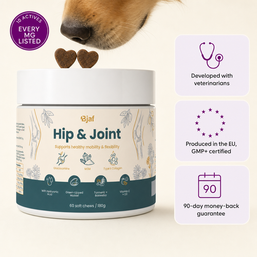Hip & Joint Chews