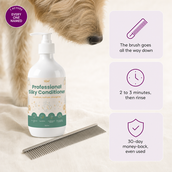 Professional Silky Conditioner