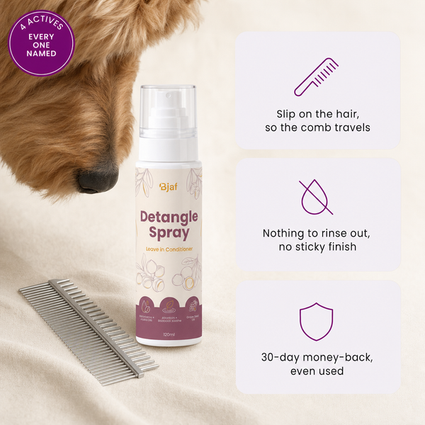Detangle Spray - Leave-In Conditioner