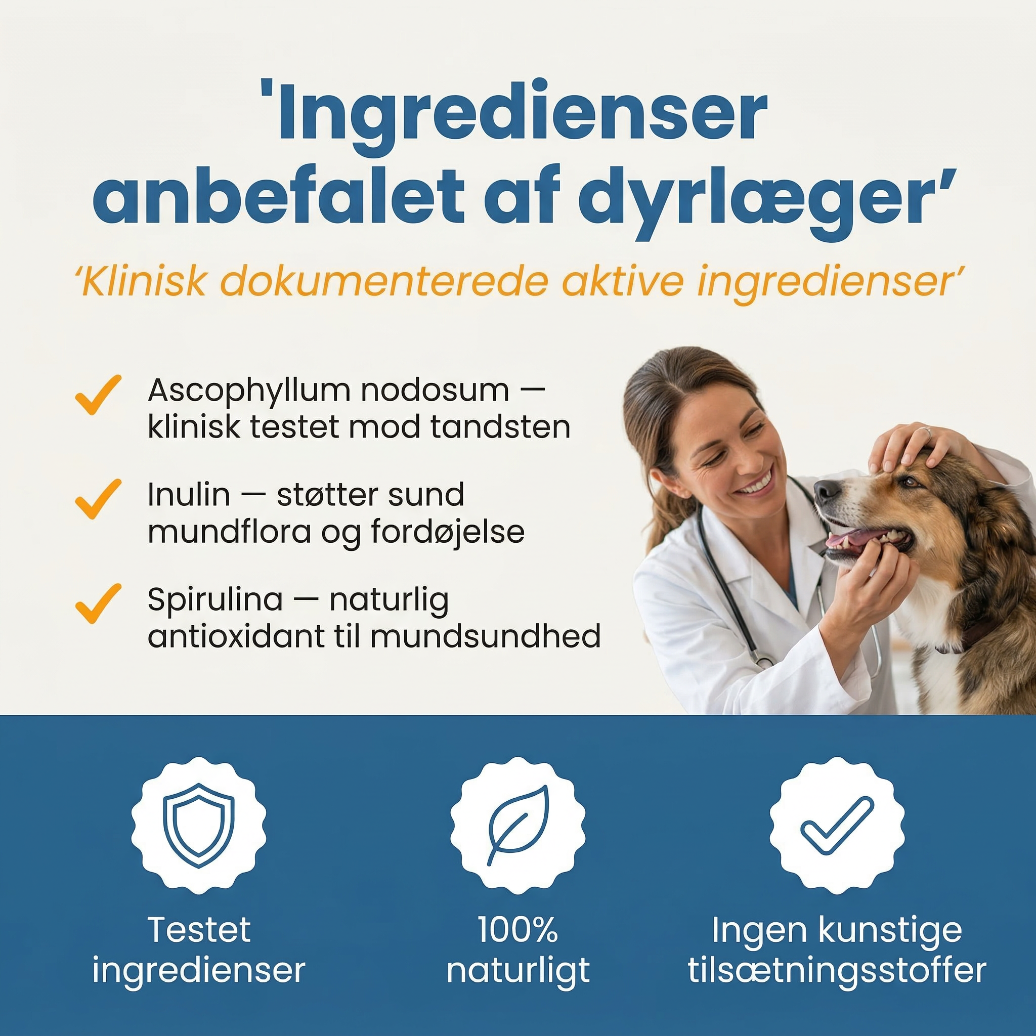Daily dosage guide by bodyweight for Bjaf Advanced Dental Powder