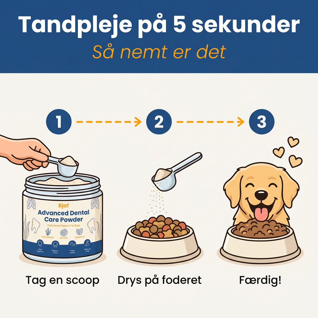 Overview of what Bjaf Advanced Dental Powder supports: clean teeth, fresh breath and healthy oral flora