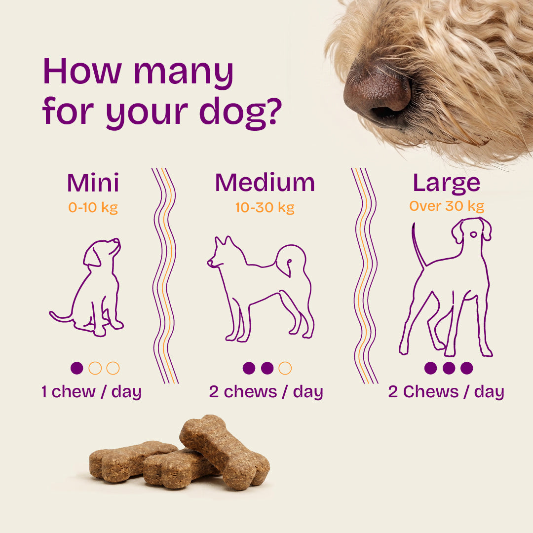 Calming Support Chews