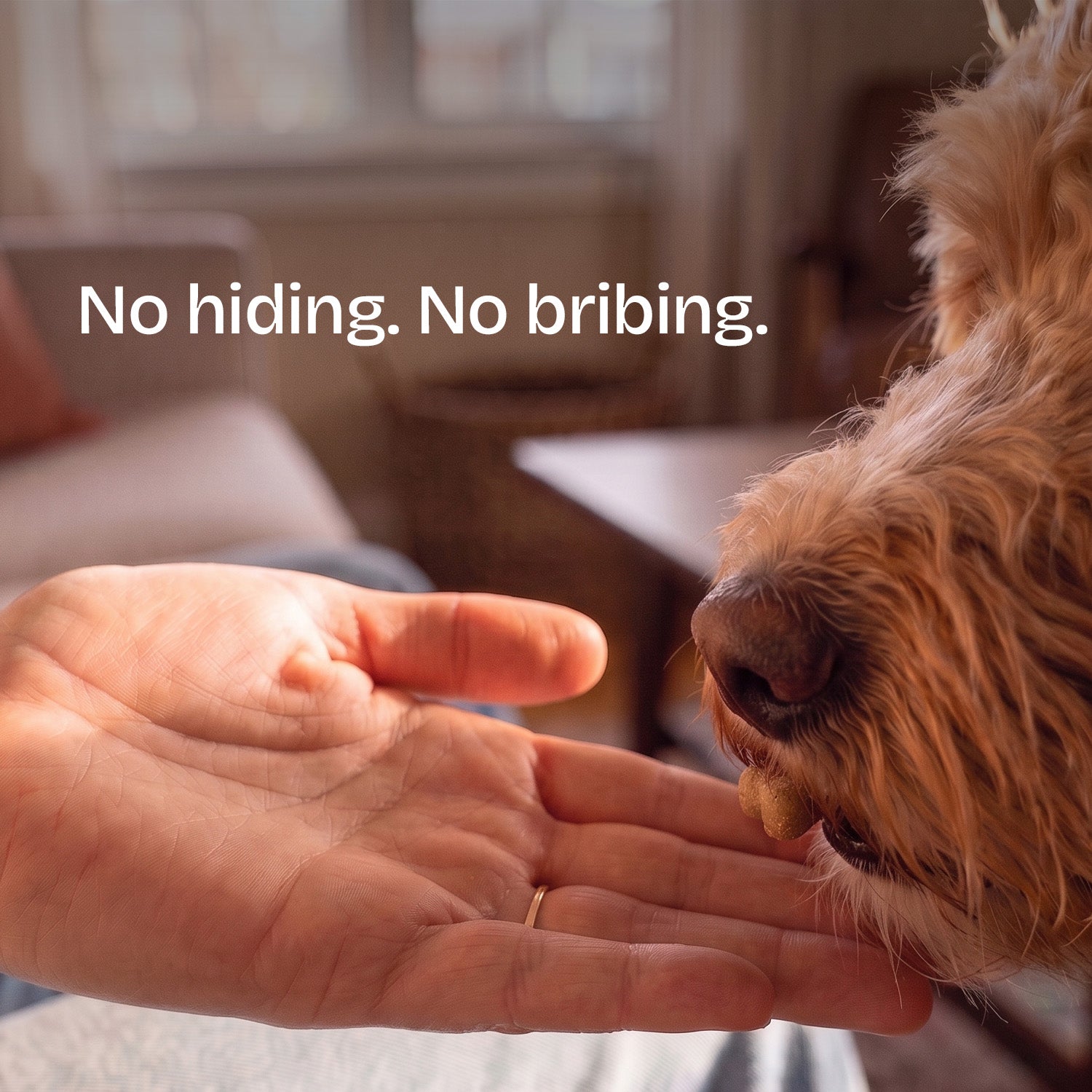 Calming Support Chews