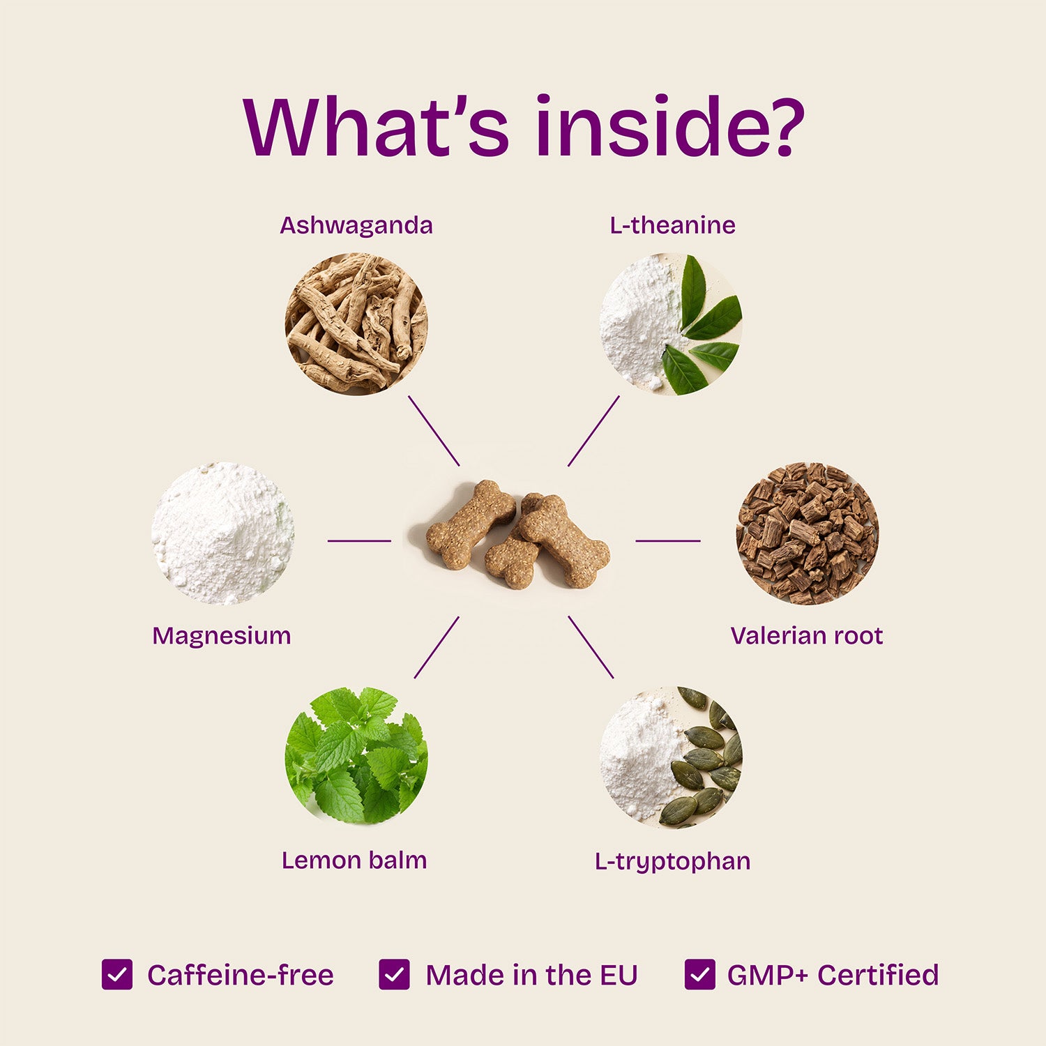Calming Support Chews