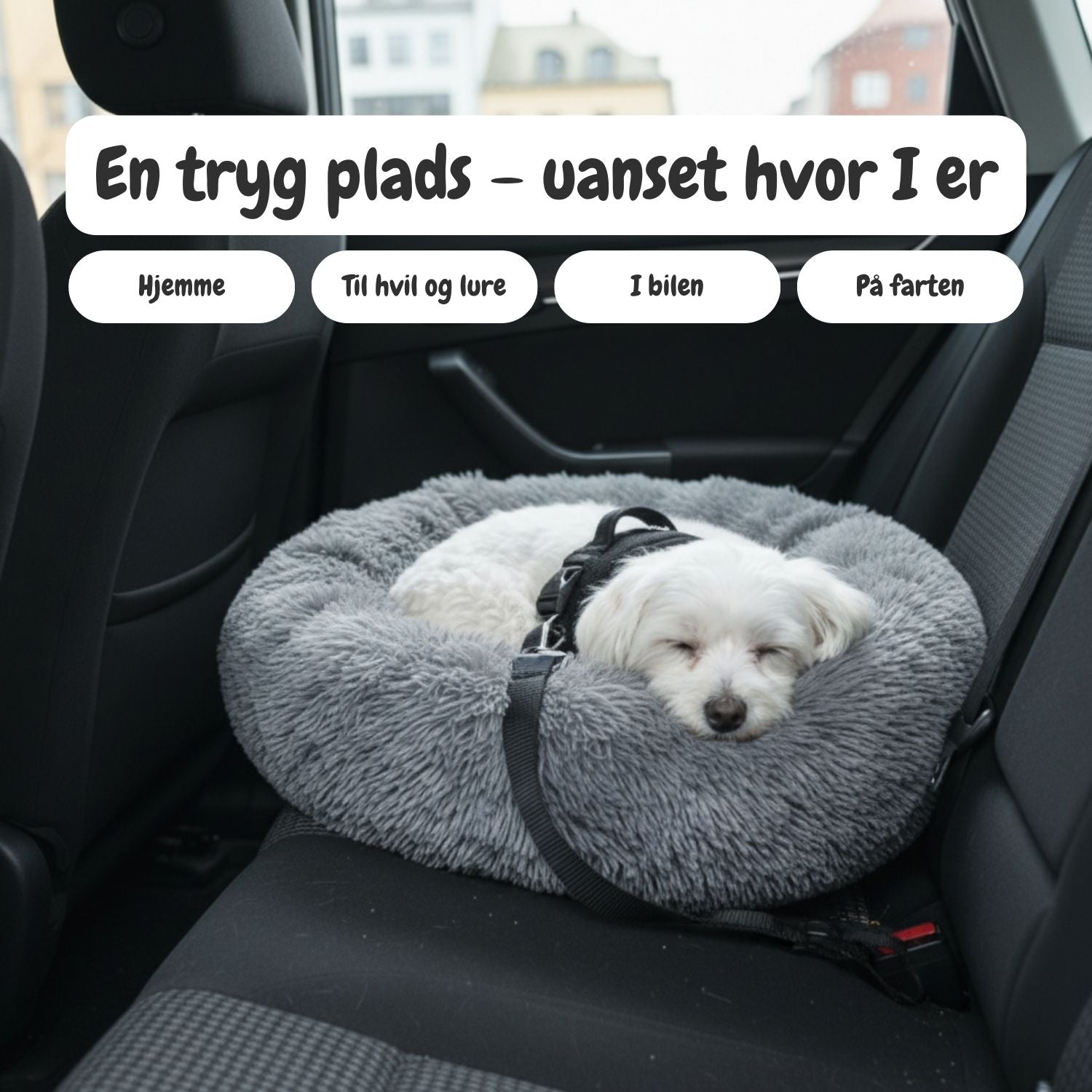 Bjaf Donut Dog Bed in a calm home setting
