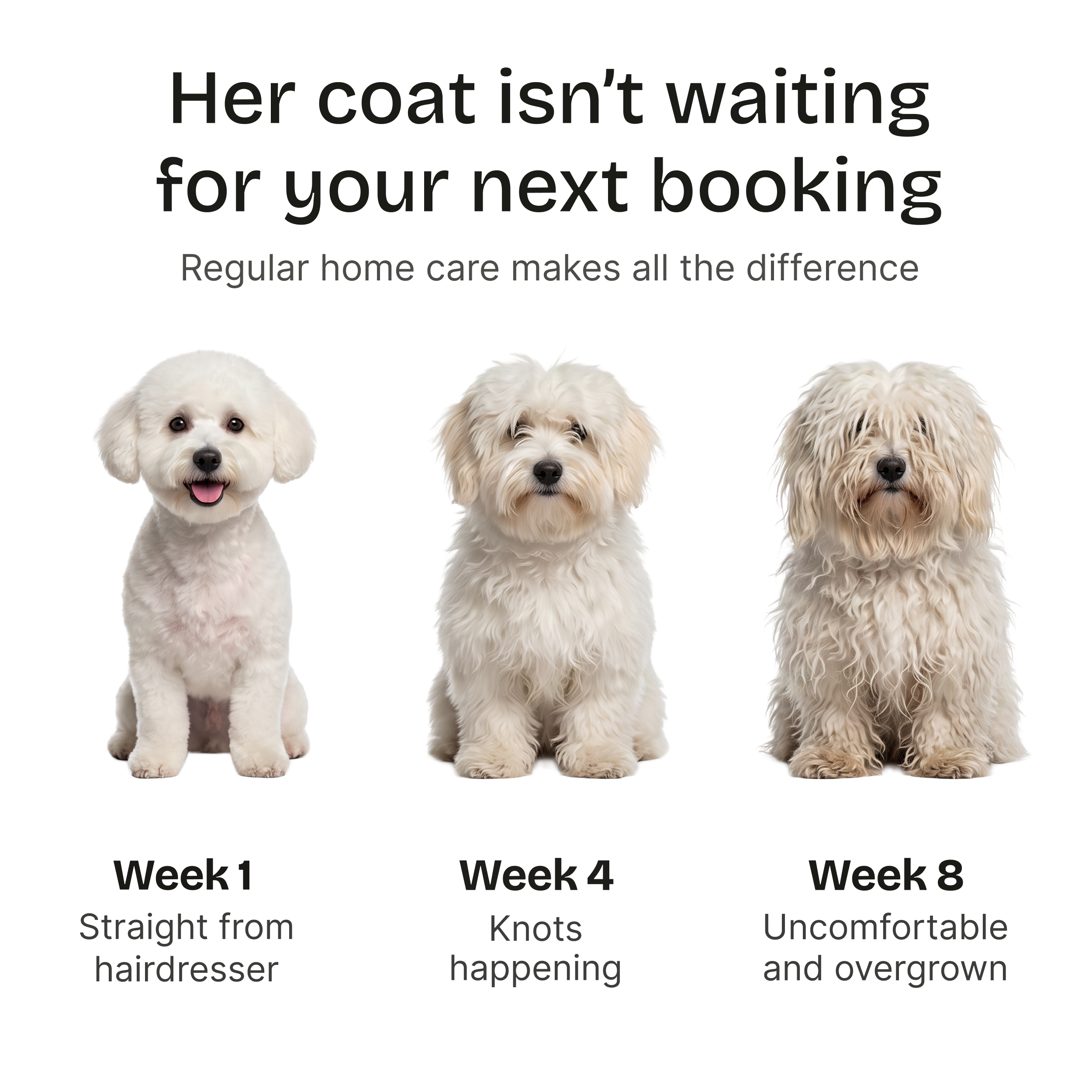 Bjaf Dog Clipper Pro™