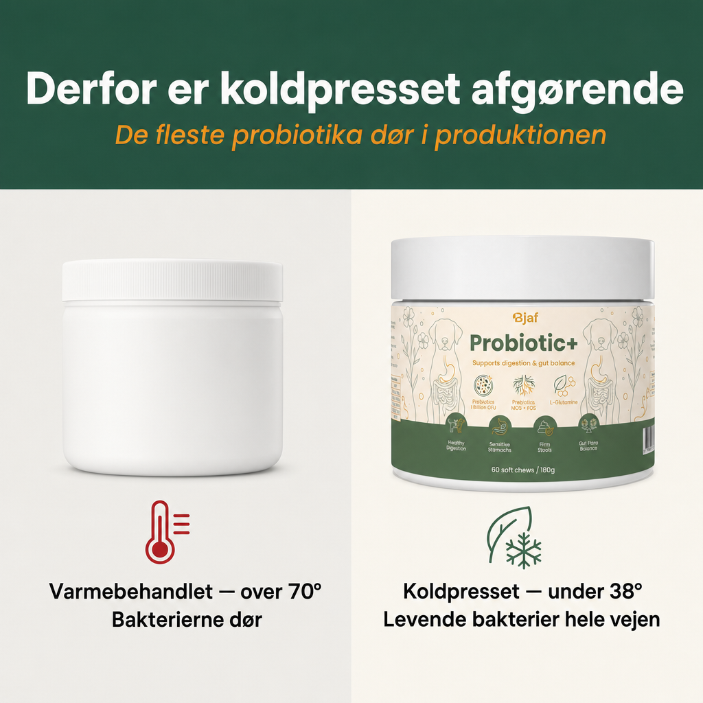 Bacillus velezensis spore-forming probiotic with 1 billion CFU per serving