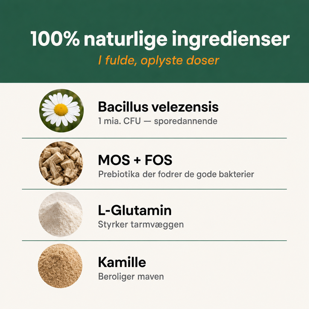 MOS and FOS prebiotics highlighted from the Bjaf Probiotic+ formula
