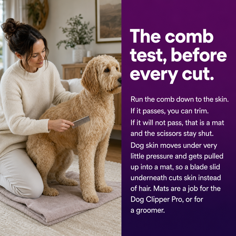 The comb test, before every cut: if the comb passes to the skin you can trim, if not it is a mat and the scissors stay shut.